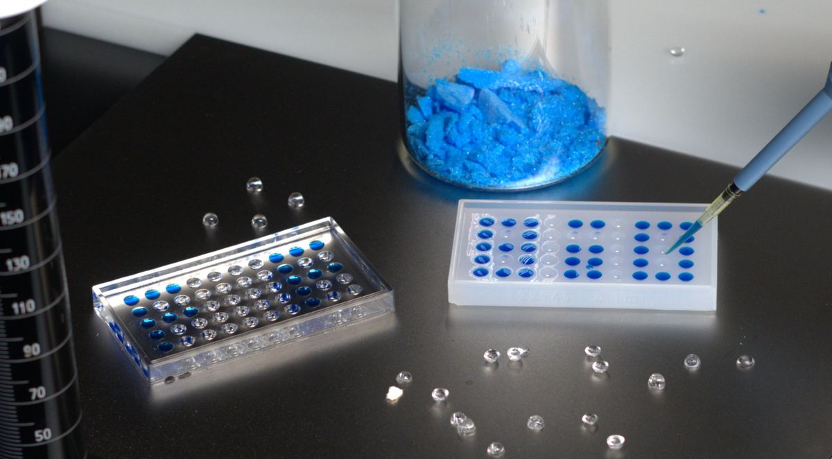 Dosing colored solution into mold cavities on the bench