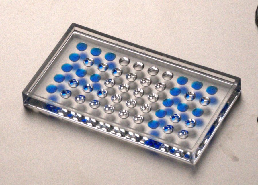 Hemisphere array mold with dosed and empty wells