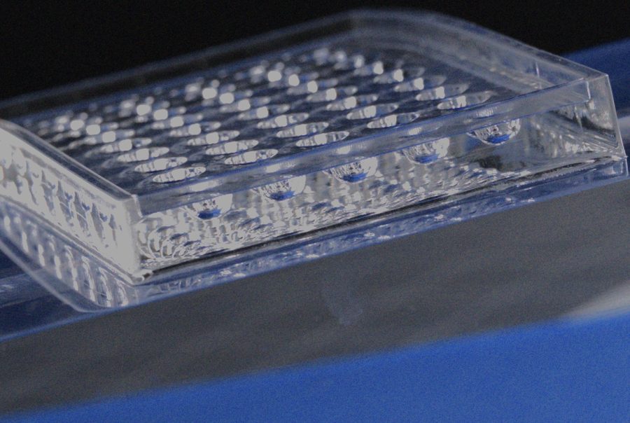 Oval and lentil profile mold cavities