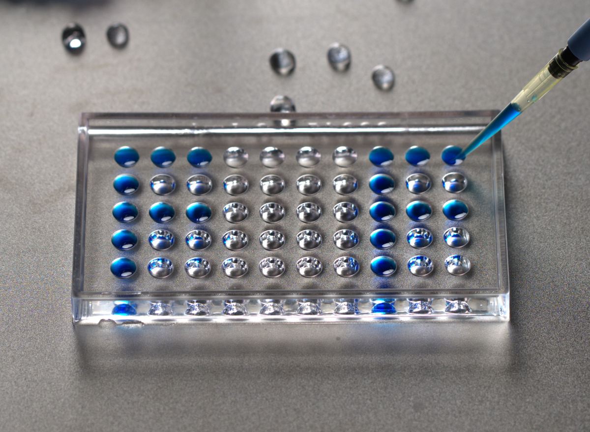 Micropipette dosing precise volumes into mold cavities